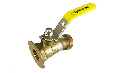 Fortune Series 281-286 Forged Brass Low Pressure Valves